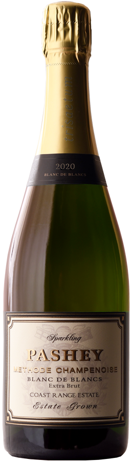 2020 Pashey Coast Range Blanc de Blancs