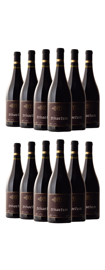 2021 Willamette Valley Pinot Noir - Case Special