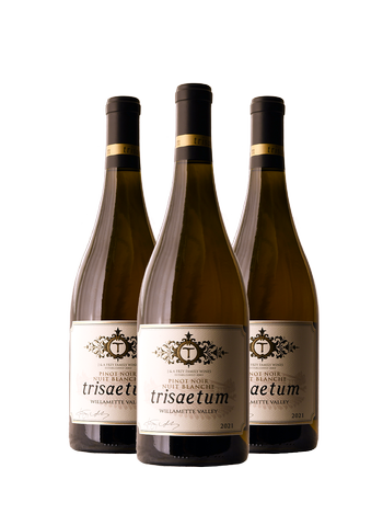 2021 Nuit Blanche White Pinot Noir 3-Pack Special